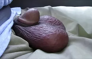 XXX मूर्ख काकू
