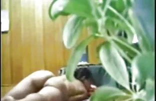 XXX आणले अतिथी पाय