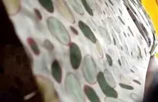 XXX छान बाळ वस्तू पुरूष घडवणे