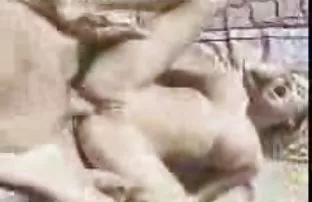 XXX The दाट तपकिरी रंगाचे केस लाभे बझ